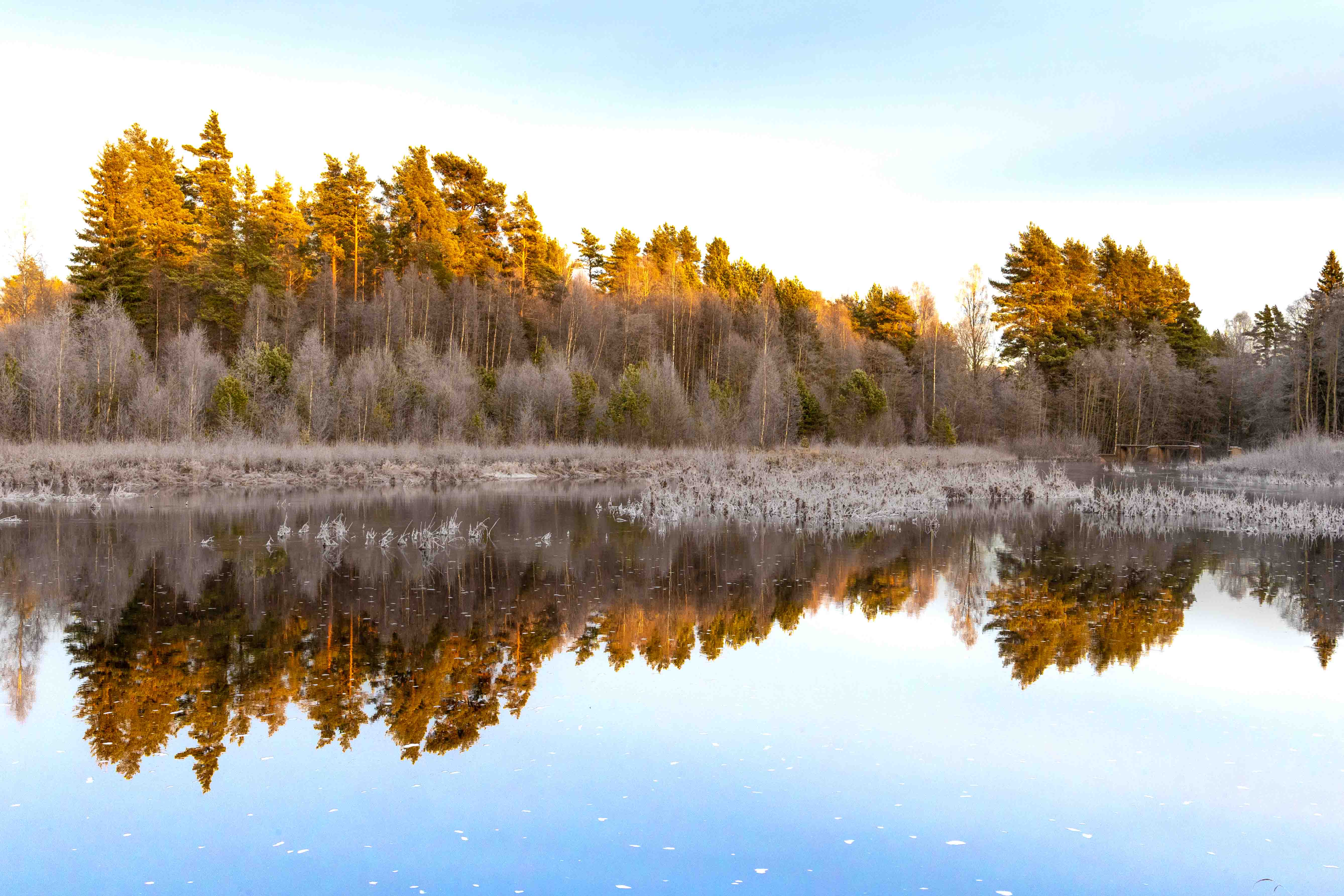 Herfstlandschap in Zweden