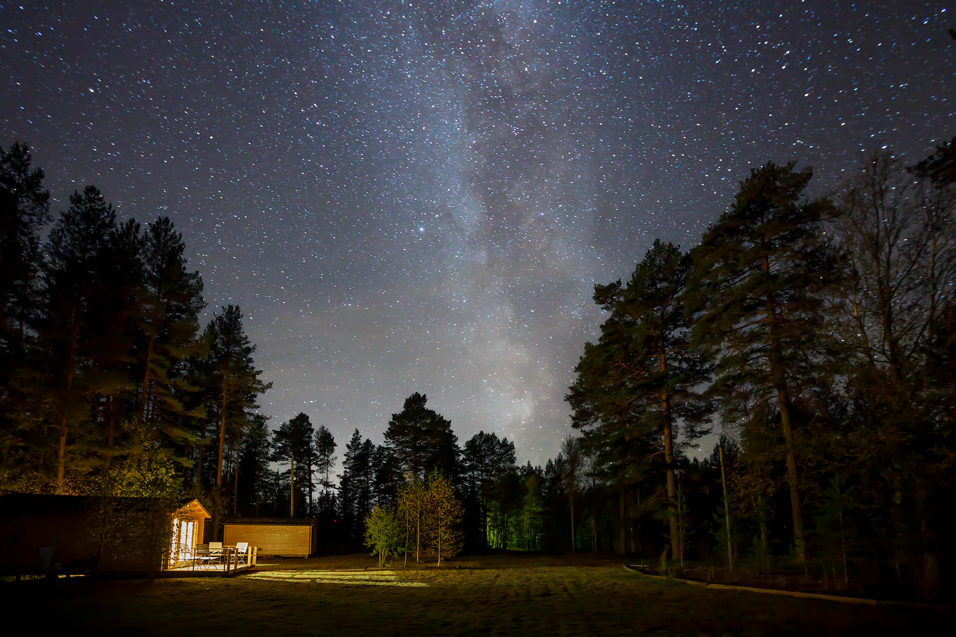 Starry night sky above a dark forest in Scandinavia