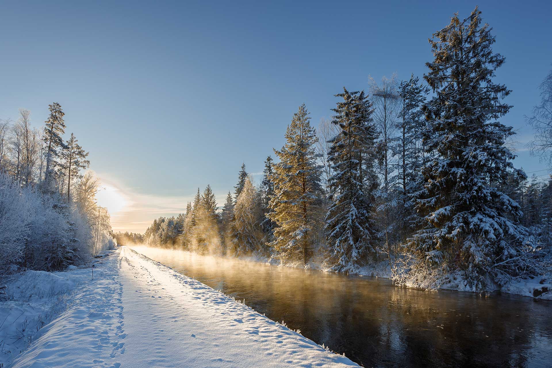 Snowy forest road in a Scandinavian winter landscape