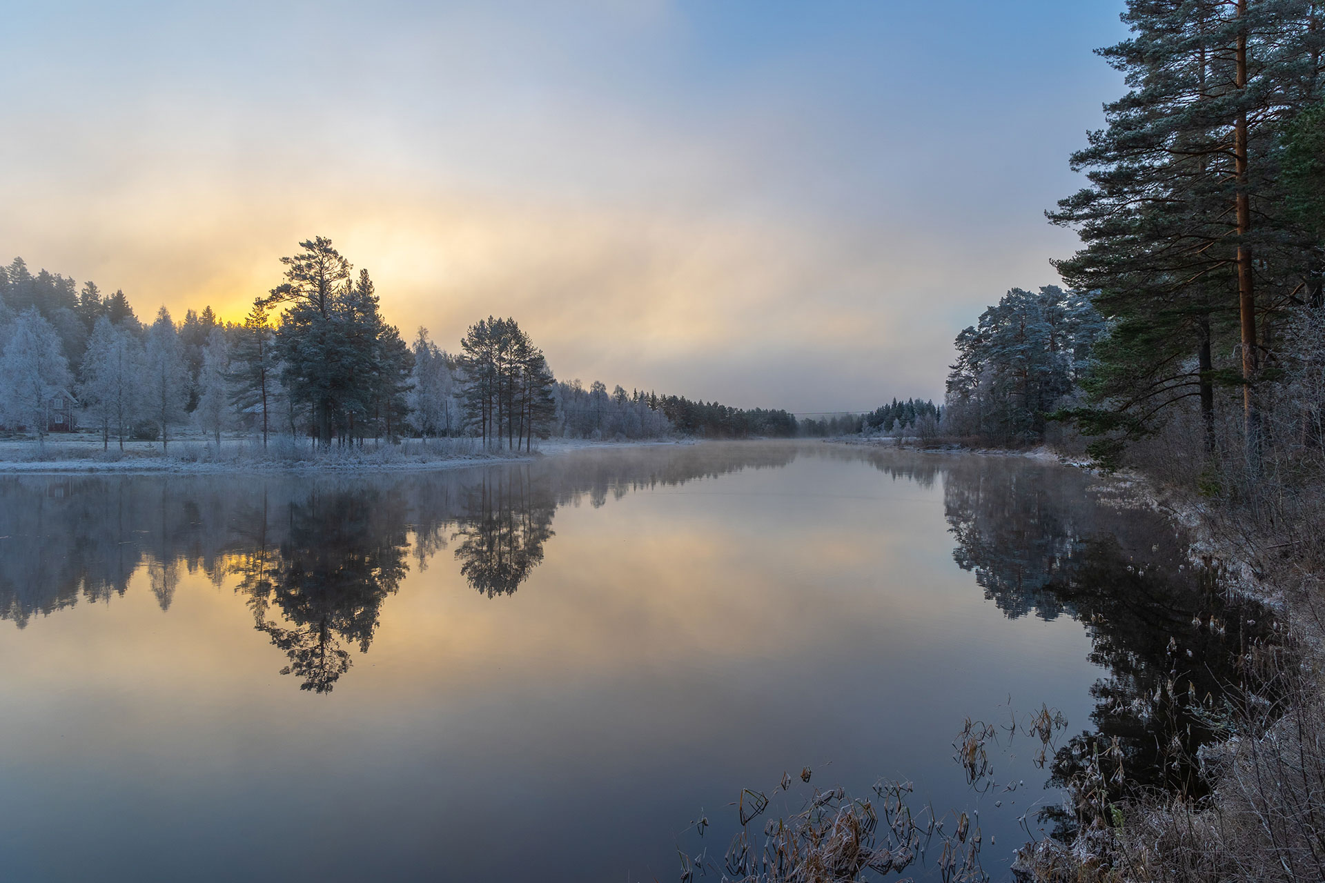 Morning reflections on a quiet Nordic lake