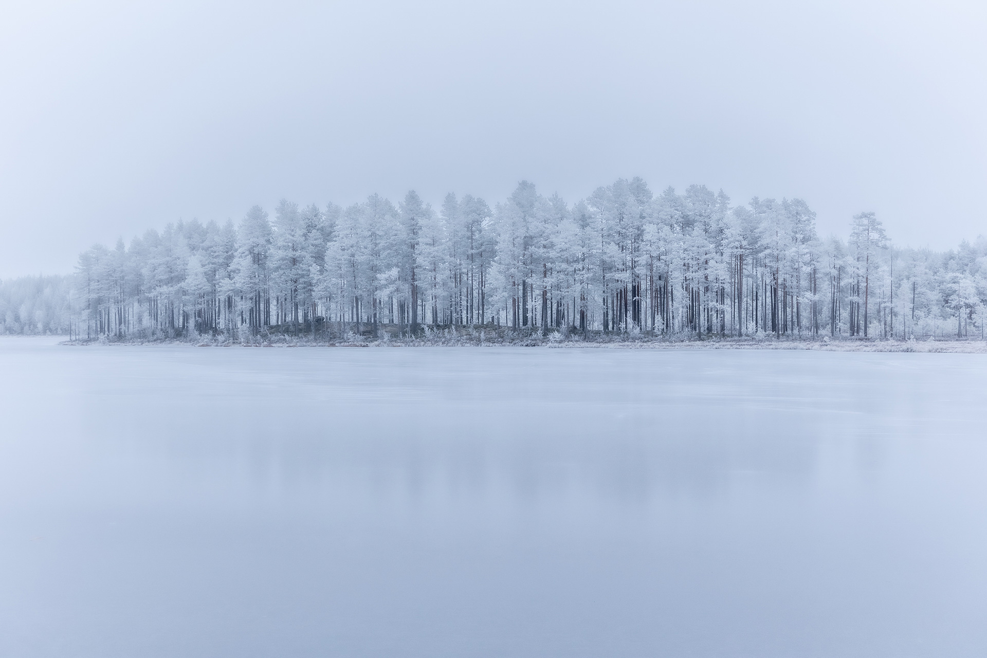 Snowy lake surrounded by winter forest