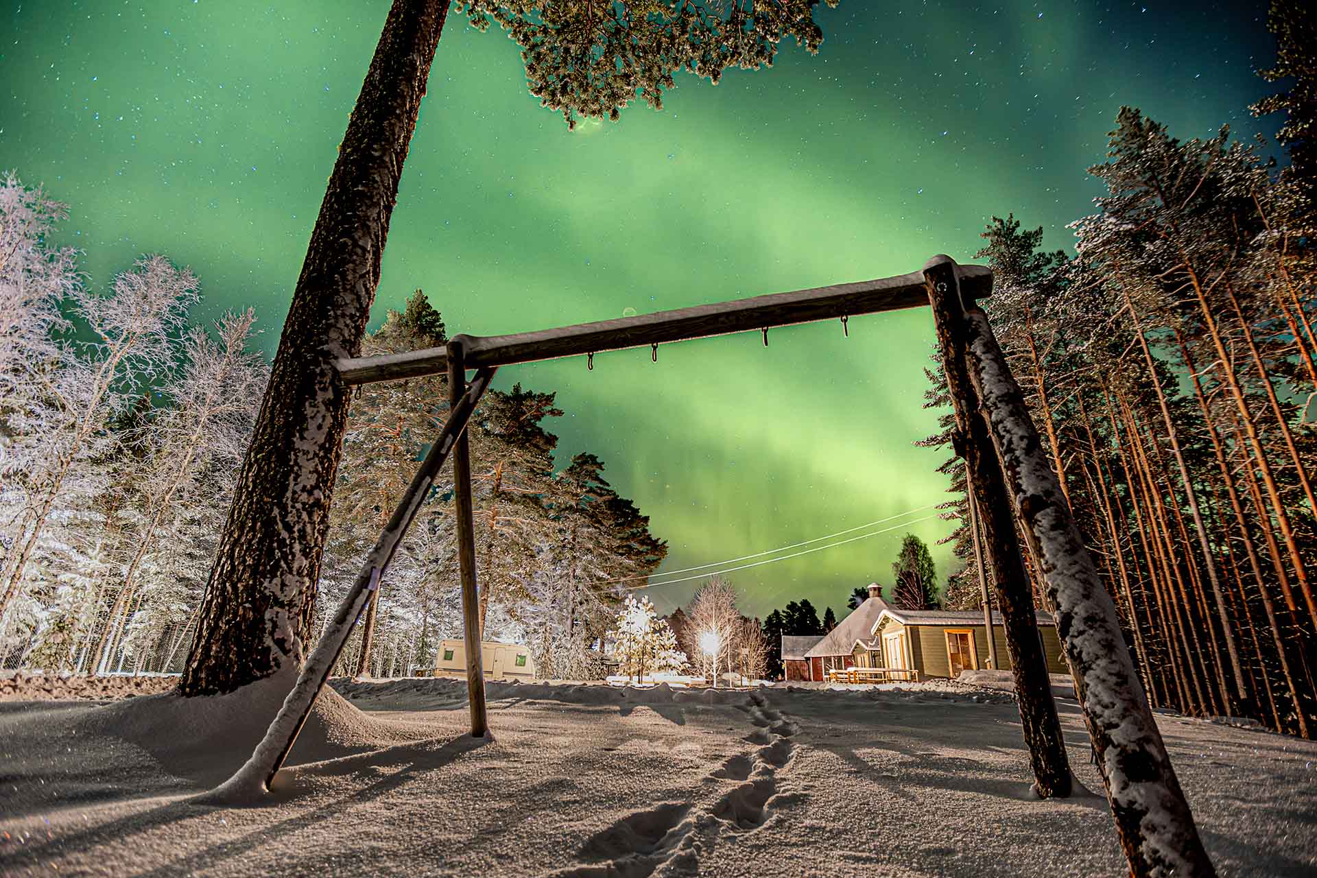 Northern lights over a forest in Scandinavia