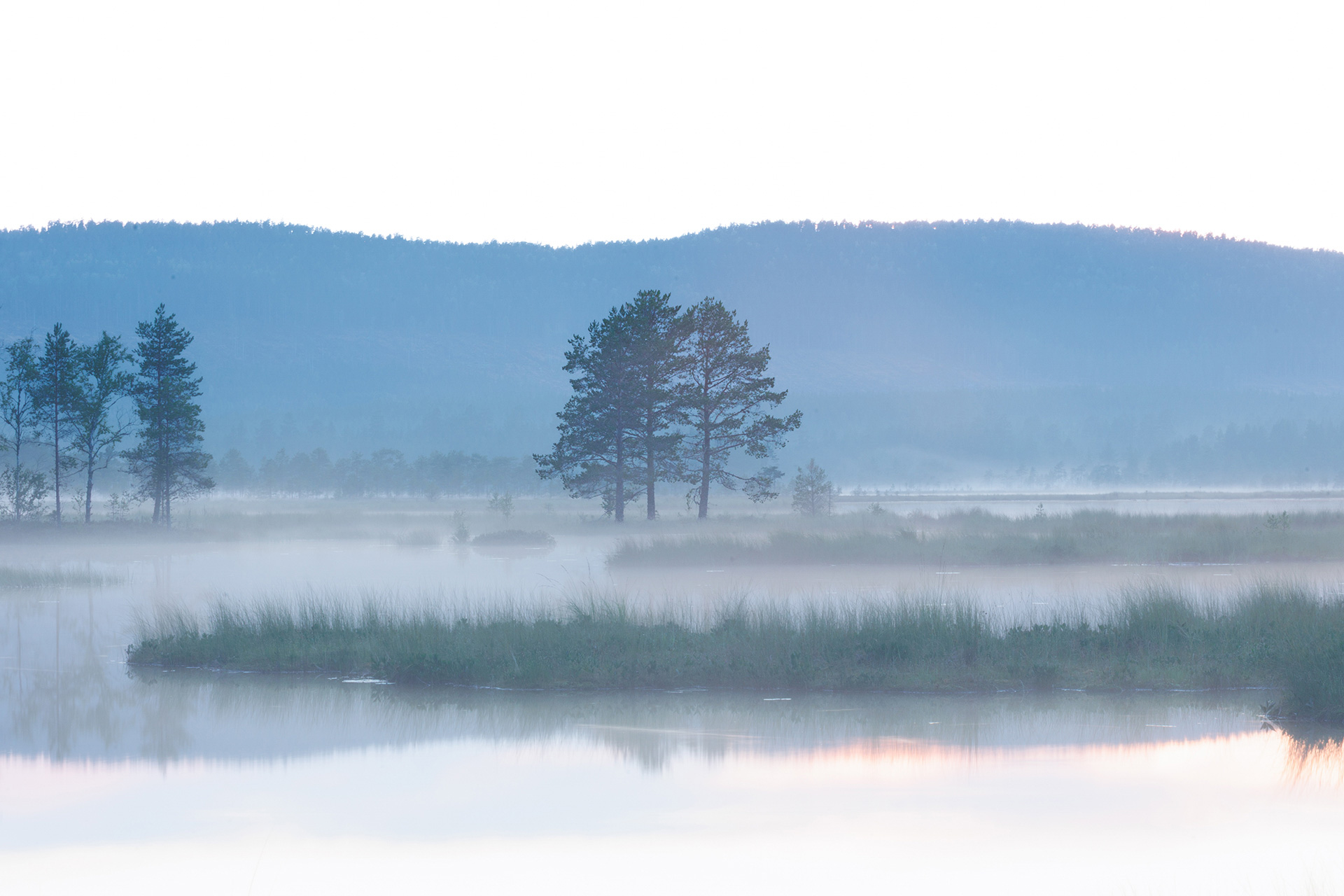 Quiet lake surrounded by forest in Scandinavia