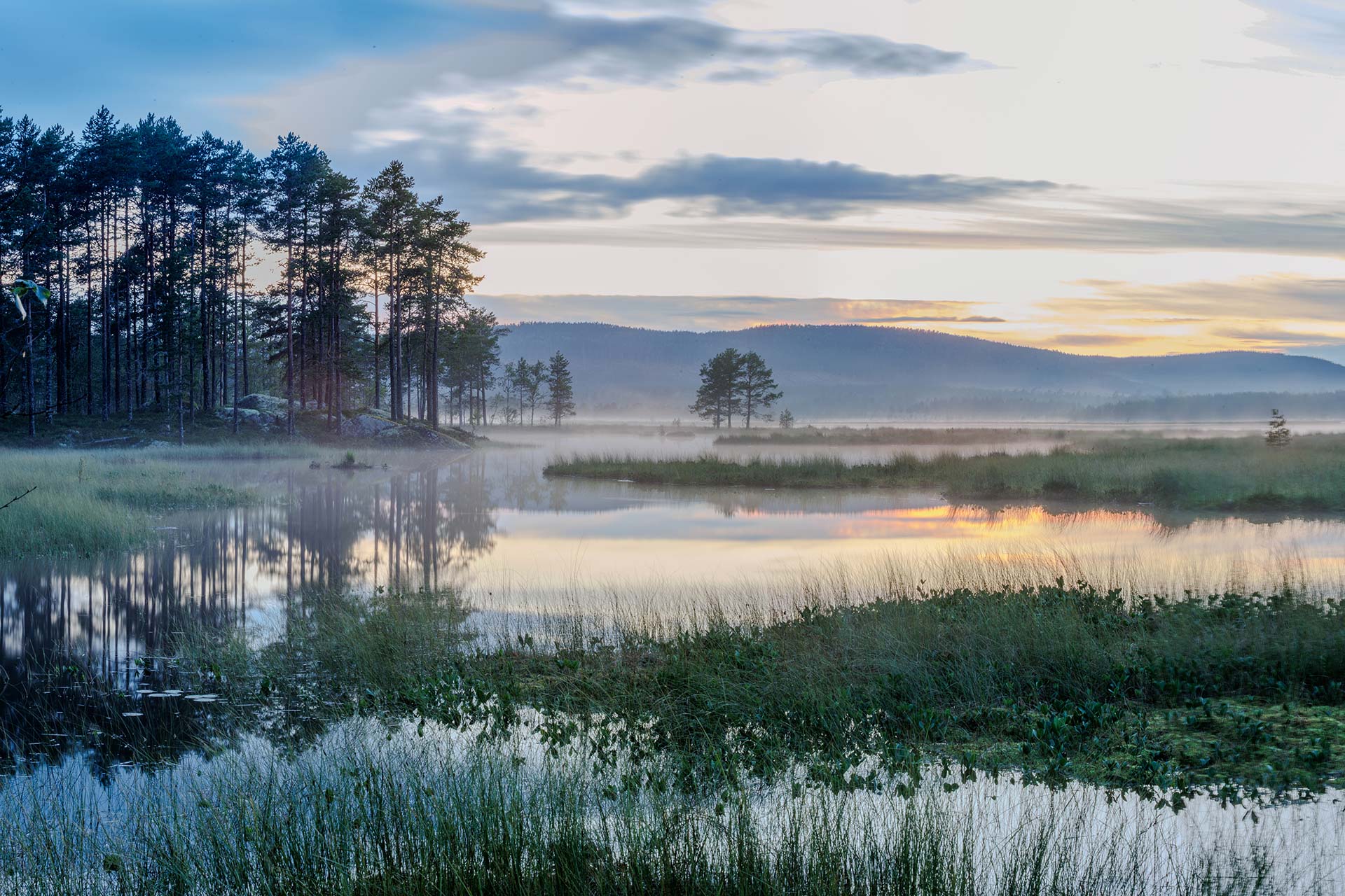 Morning mist over wetlands in a Nordic landscape