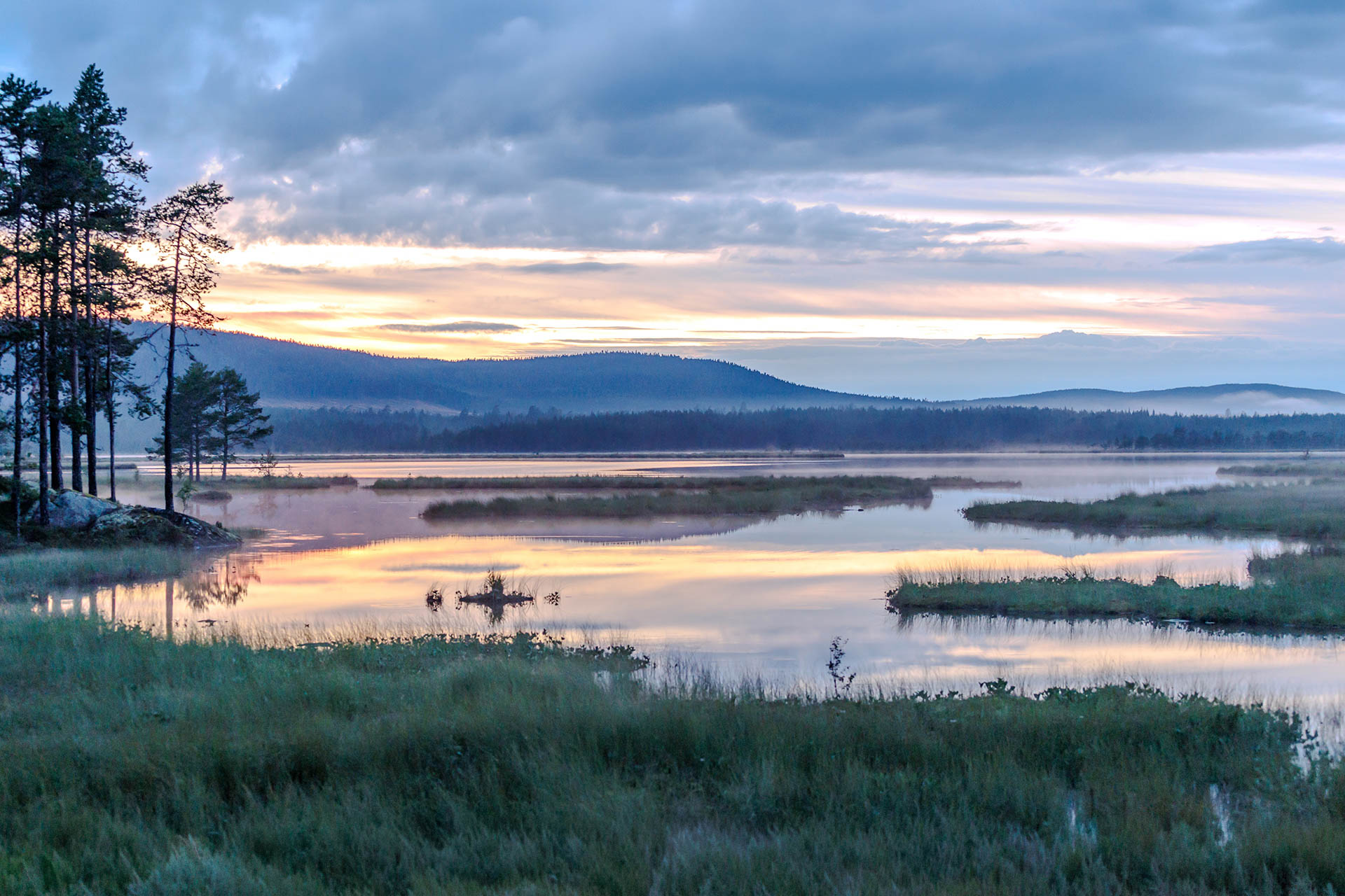 Wide Nordic landscape with horizon and sky