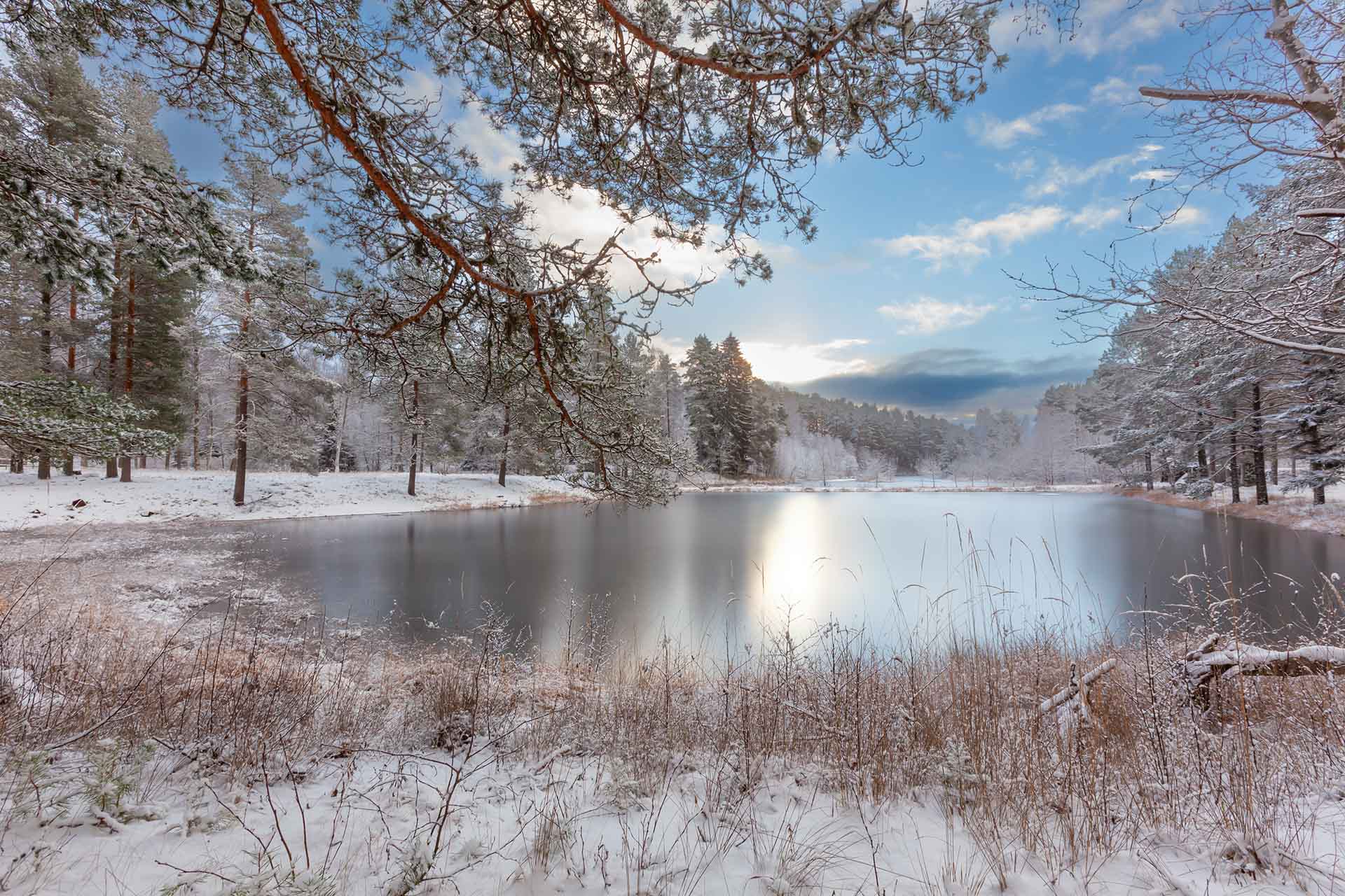 Frozen waterfall in a Scandinavian winter landscape