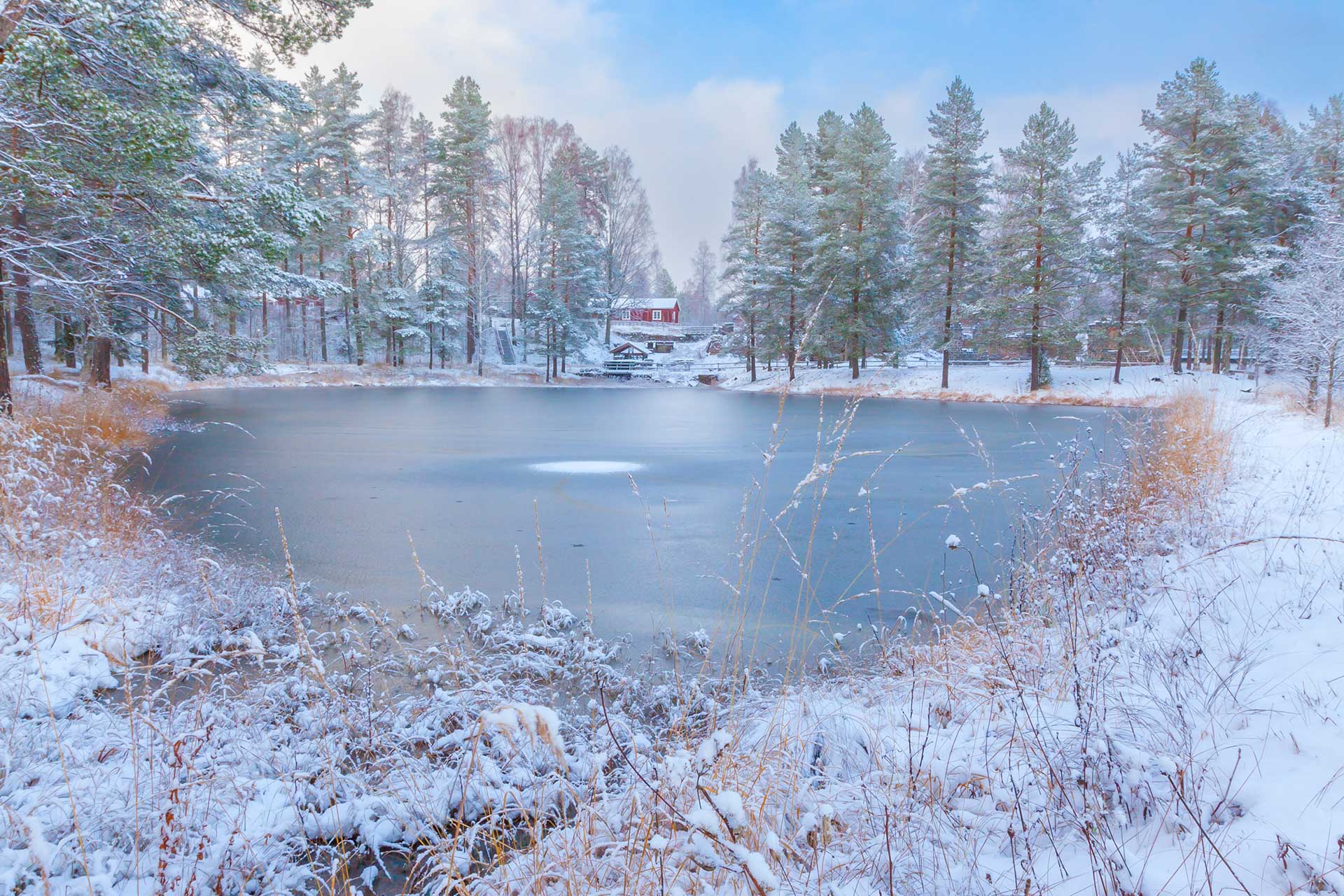 Foggy shoreline along a calm lake