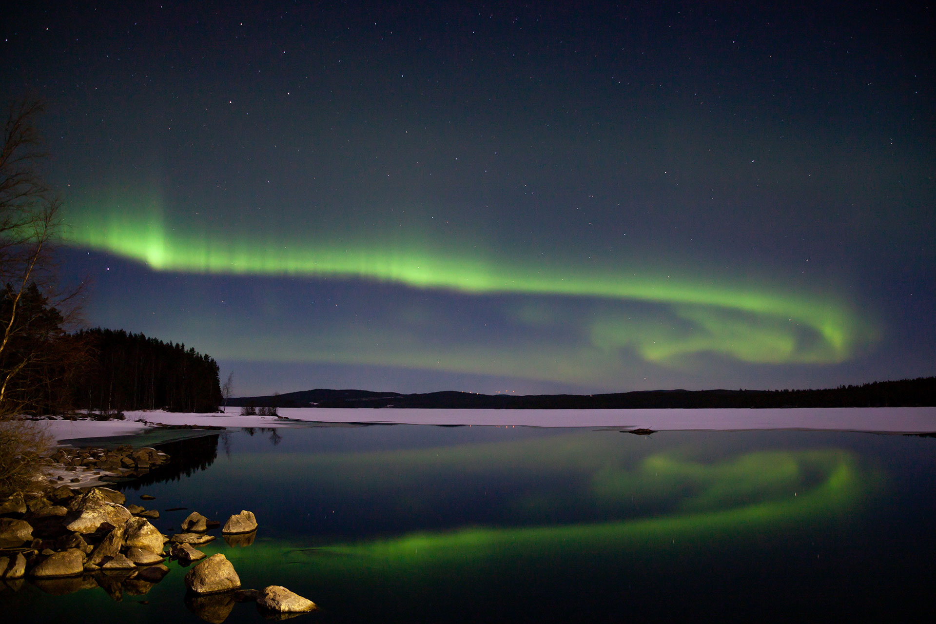 Wildlife fotografie in Zweden