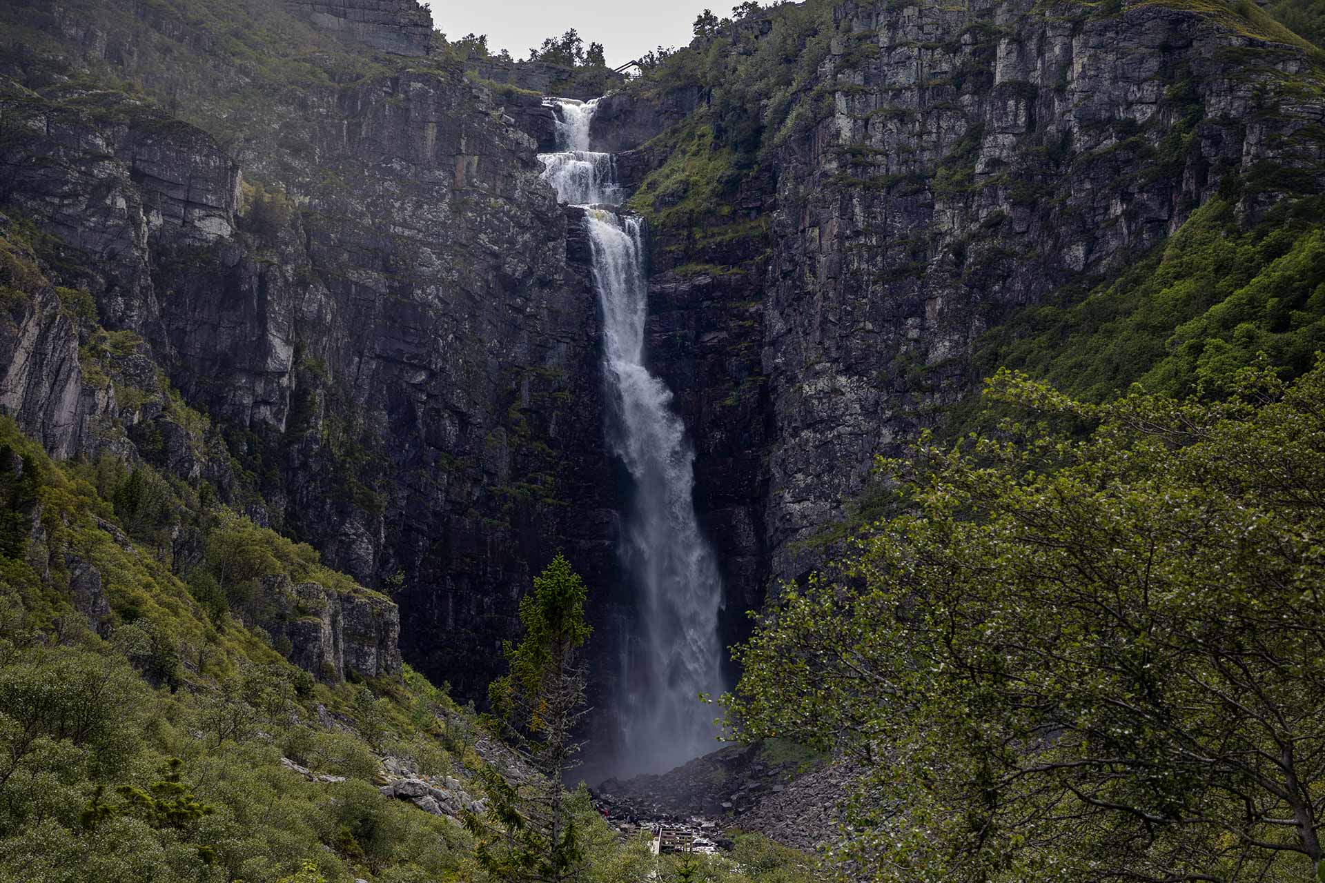 Hidden waterfall in a forest landscape
