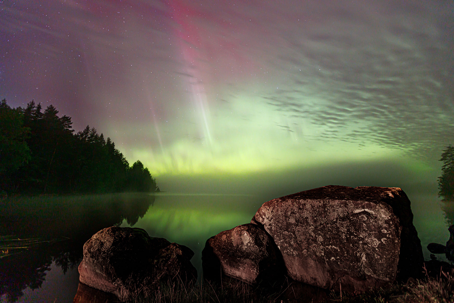 Green aurora in the night sky above forest