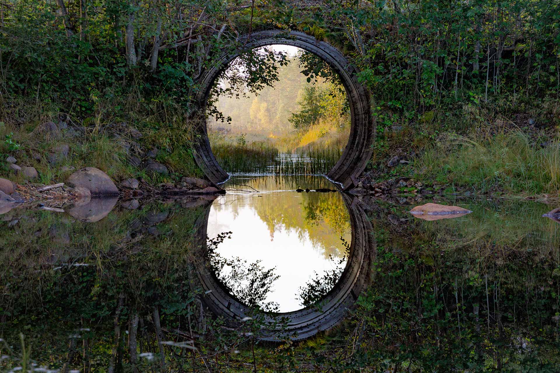 Reflection tunnel formed by trees and water