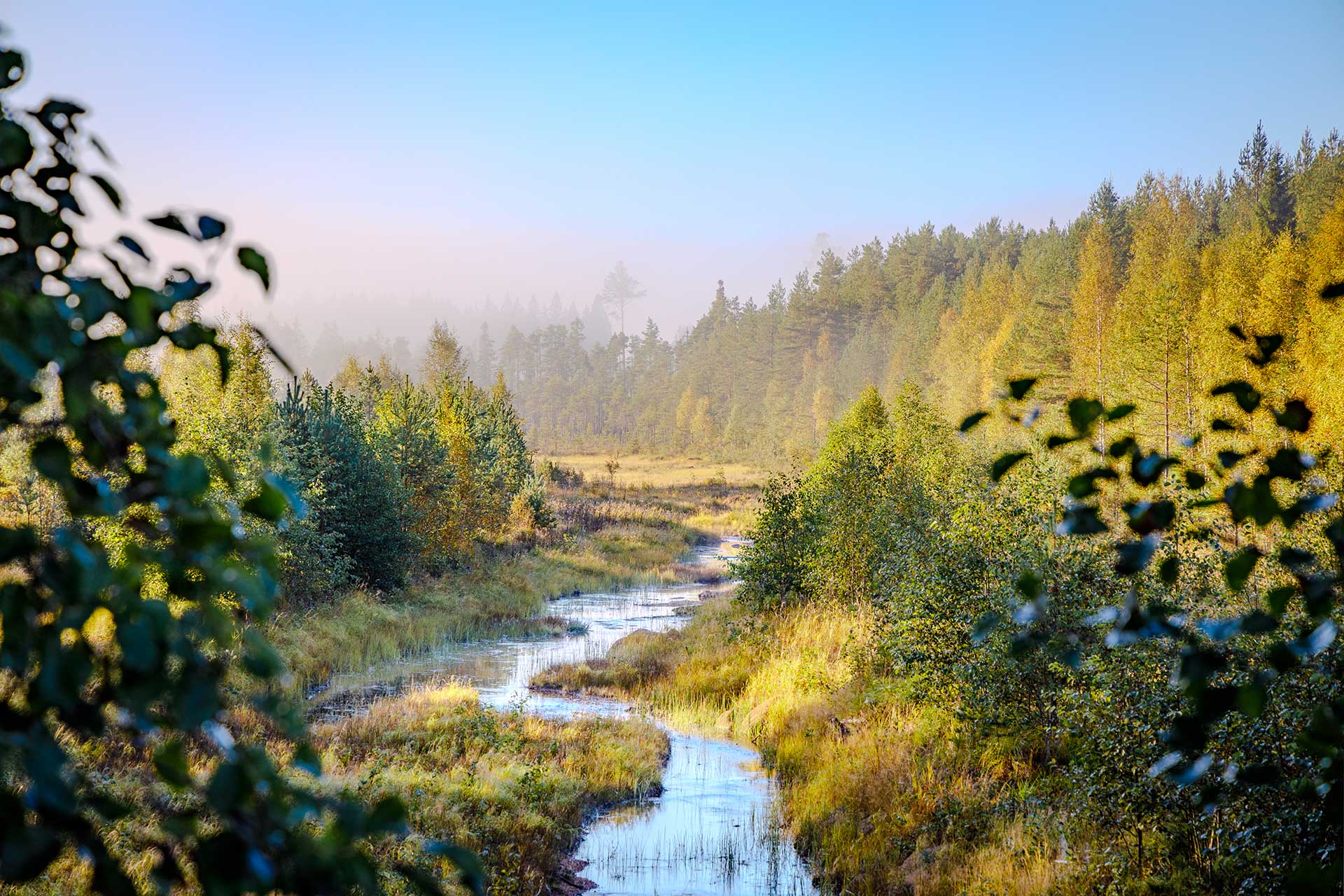 Autumn river flowing through a Nordic landscape