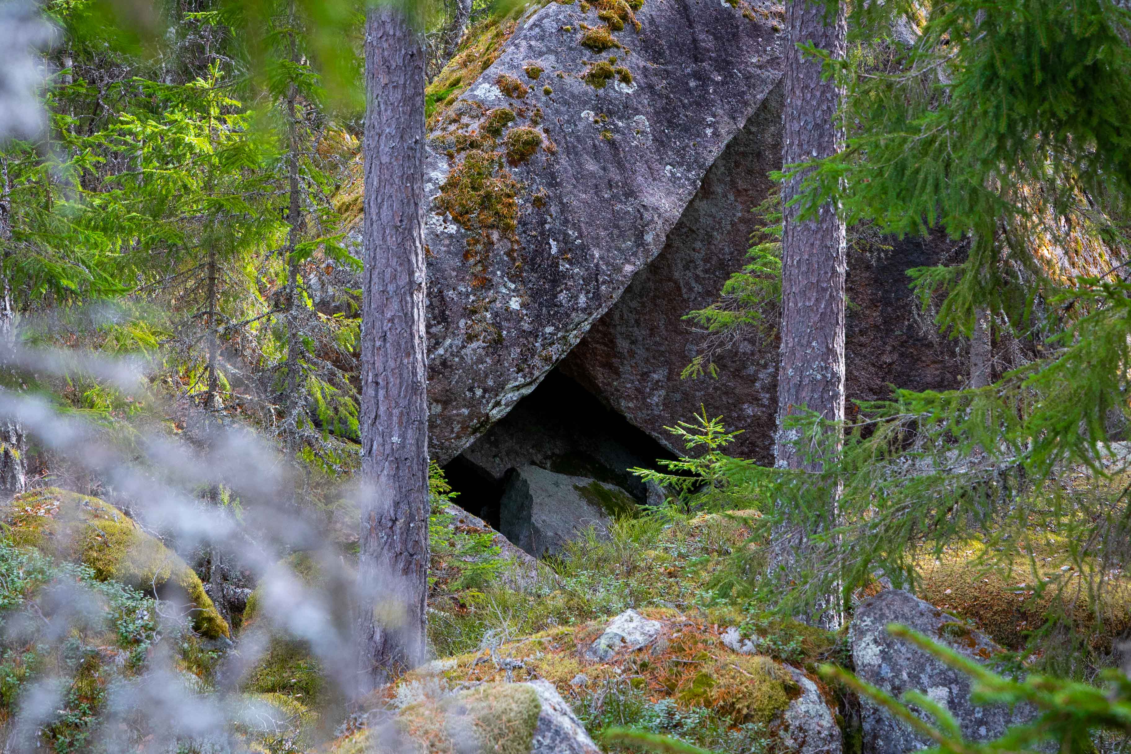 Massive boulder resting among trees in a Scandinavian forest
